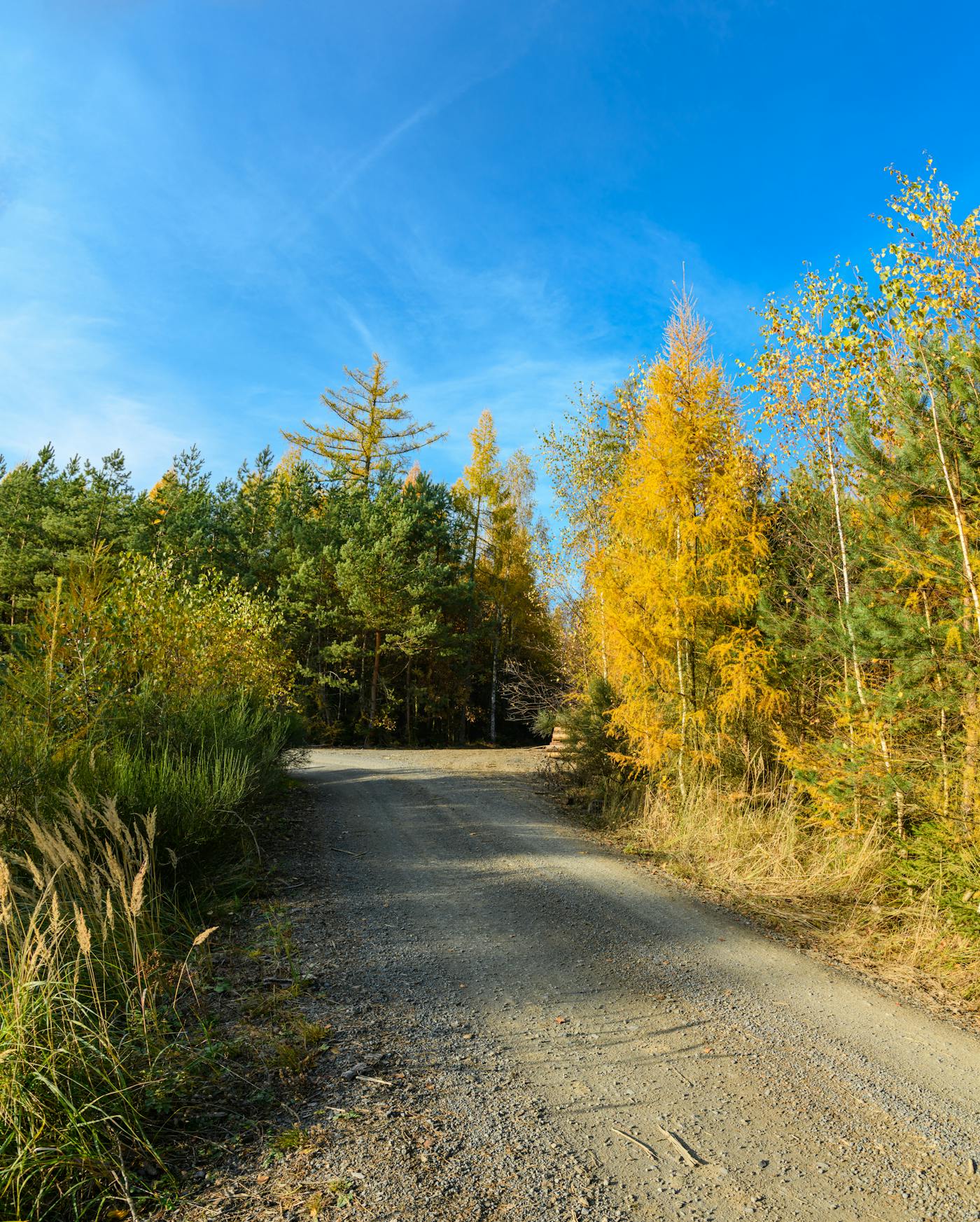 Backcountry Roads