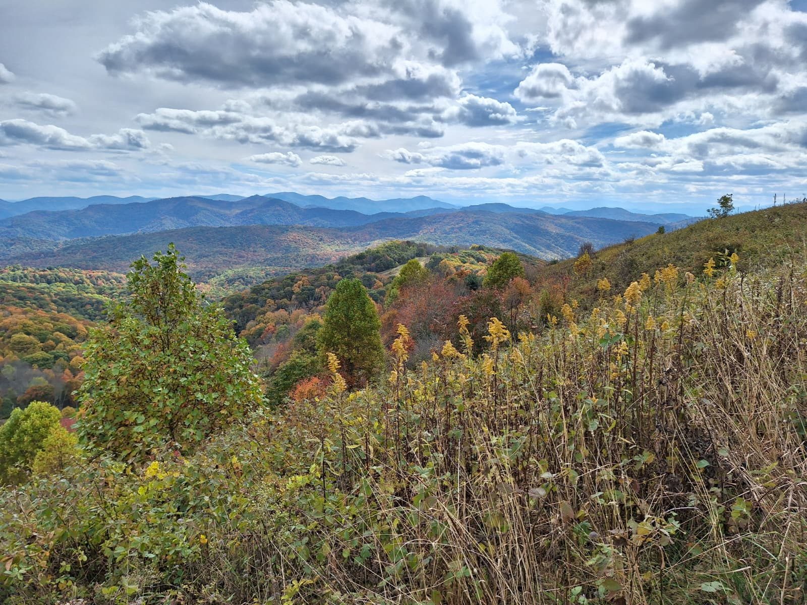 Brewery Backroad Tour